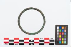 Foto von Bronzering (NHMW-PRAE-023658)